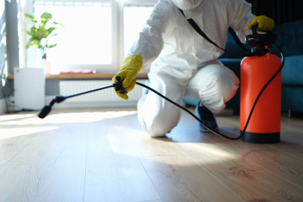 Reliable Hoarding Cleanup contractor in Baldwin, IL by Dulley Family Biohazard Services